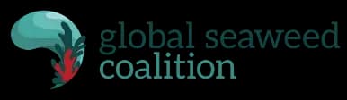 Partner logo 8