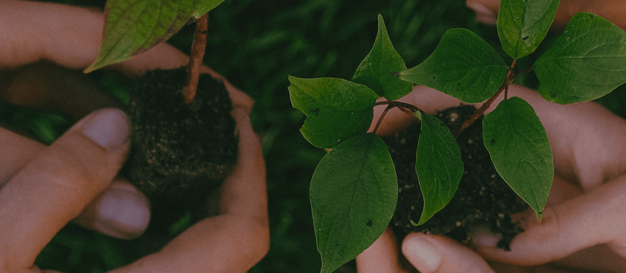 About_Header