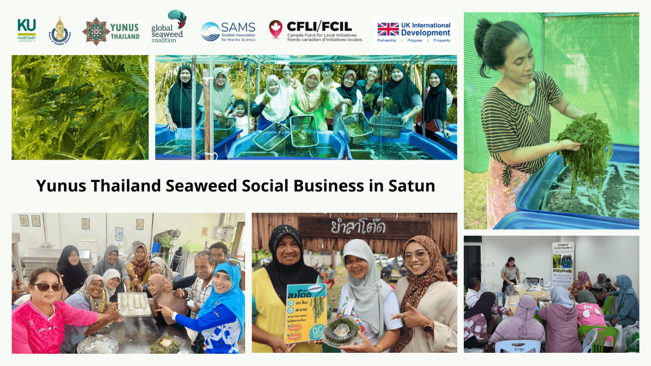Cover image for blog: Women Empowerment through Seaweed Social Business in Southern Thailand: A Path to Resilience and Community Strength