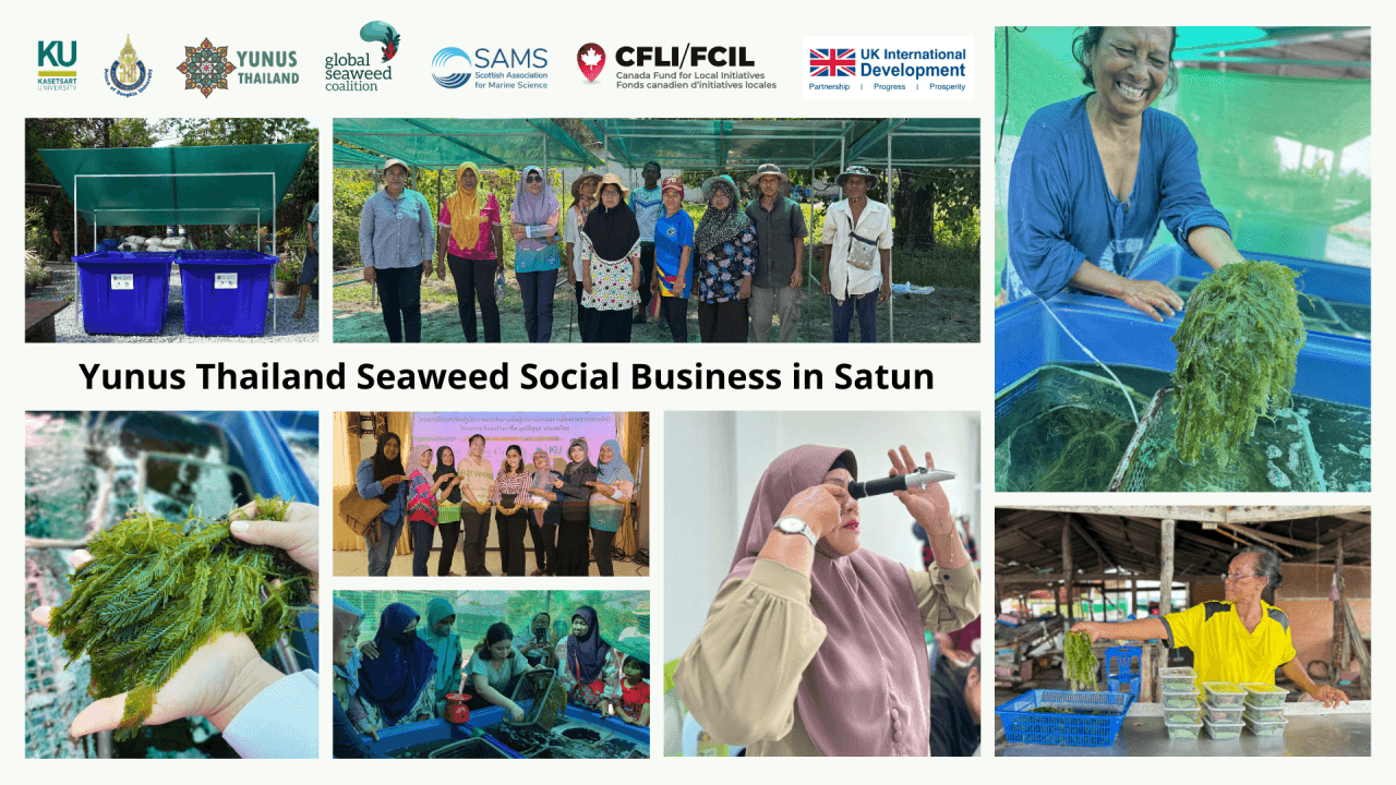Cover image for blog: Empowering Women Through Seaweed Farming: How CFLI Initiatives Are Transforming Southern Thailand