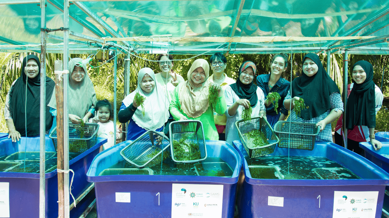 Our seaweed social business supports controlled system cultivation of Caulerpa seaweed by women entrepreneurs in the South of Thailand, while creating high-value products across industries. We enhance local livelihoods, foster female entrepreneurial leadership, and preserve the species from the effects of climate change on the local habitat.