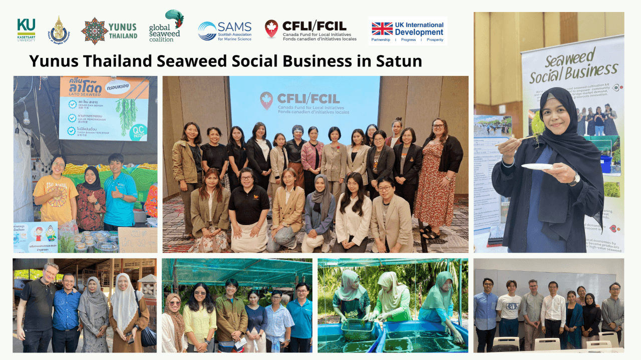 Cover image for blog titled "Empowering Women Through Feather Seaweed Farming: A Year of Growth and Transformation in Southern Thailand"